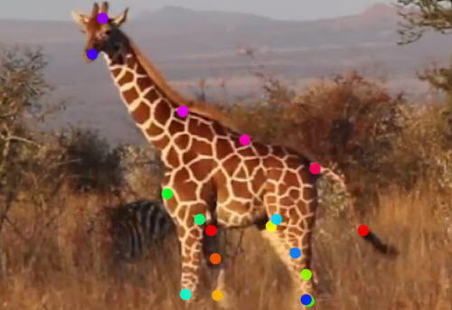 AI motion capture development